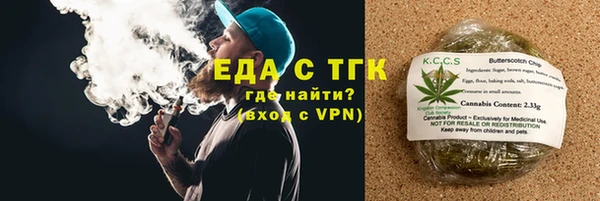 прущие грибы Елабуга