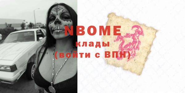 хмурый Ельня