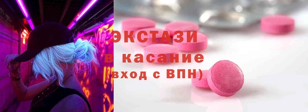 хмурый Ельня