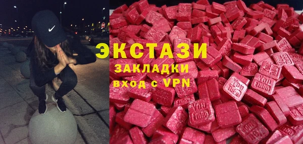 хмурый Ельня