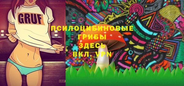прущие грибы Елабуга