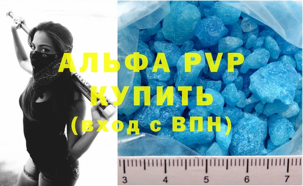 прущие грибы Елабуга