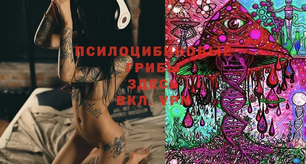 крисы Дмитров