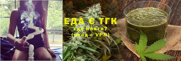 хмурый Ельня