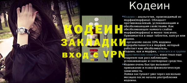 прущие грибы Елабуга