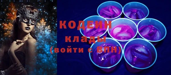 прущие грибы Елабуга