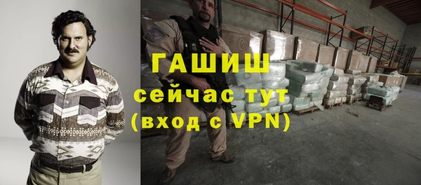 прущие грибы Елабуга