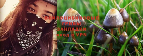 стаф Дмитровск