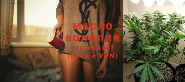 хмурый Ельня