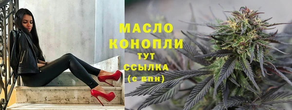 прущие грибы Елабуга