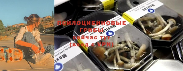 хмурый Ельня