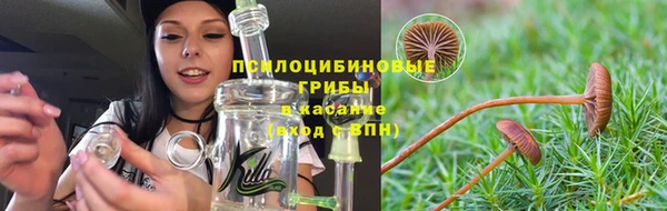 хмурый Ельня